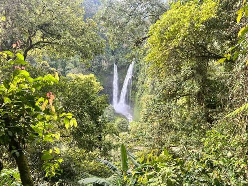Jakarta : randonnée dans la forêt tropicale jusqu'à une cascade et un pont suspendu