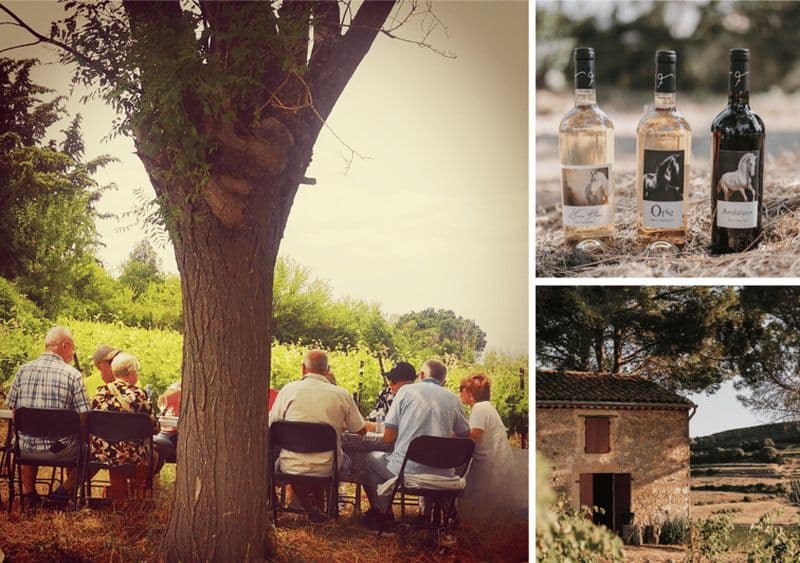 Mas Farchat: Dégustation de vin et de tapas en pleine nature