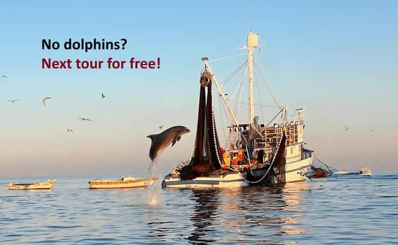 Rovinj : Excursion en bateau à moteur pour observer les dauphins au lever du soleil et les pêcheurs au travail