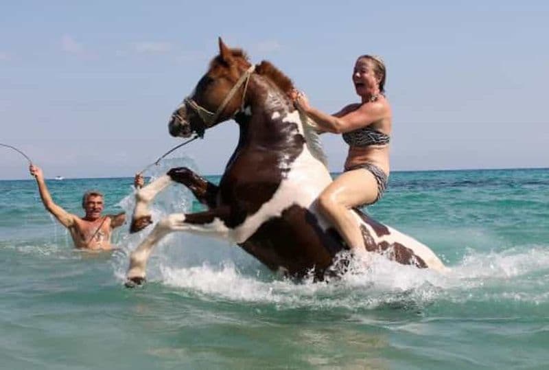 Zakynthos : expérience d'équitation et de baignade à Yotomu