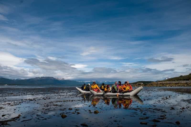 Ushuaia : L'île de Gable et la colonie de pingouins en canoë-kayak