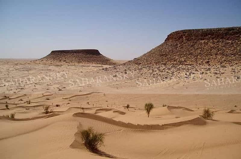 Depuis Tozeur : Safari privé dans le désert du Sahara (nuit)