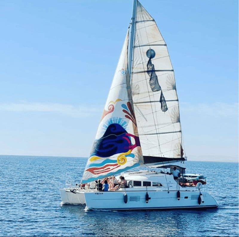 Marbella : excursion en catamaran avec observation de dauphins et boissons