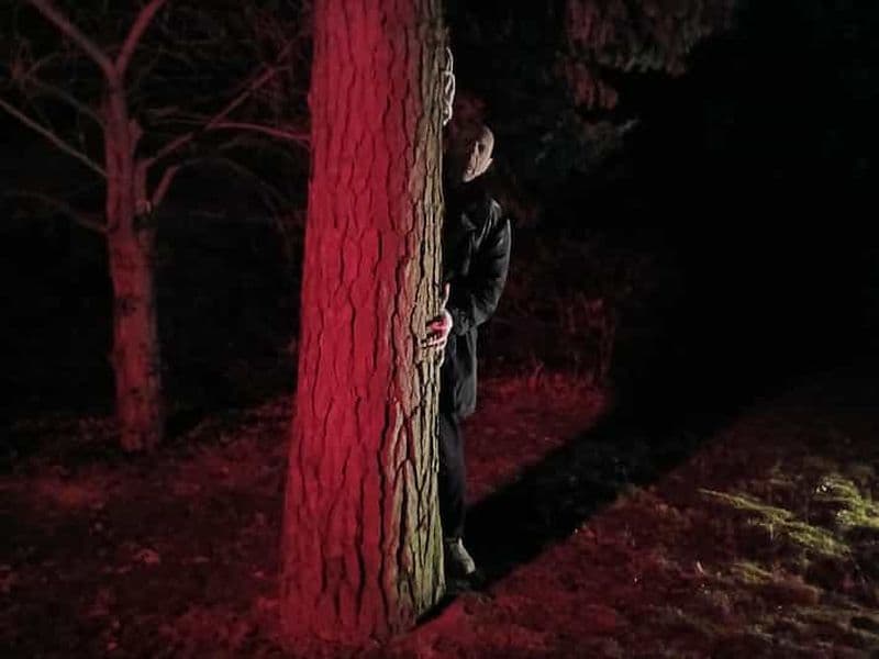 Francfort : théâtre d'horreur avec visite guidée « La résurrection de Nosferatu »