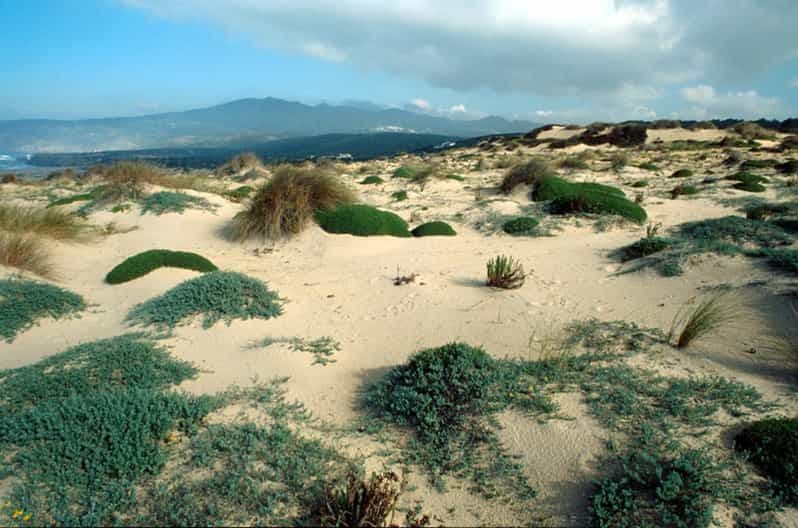 Sintra Cascais Top trekking