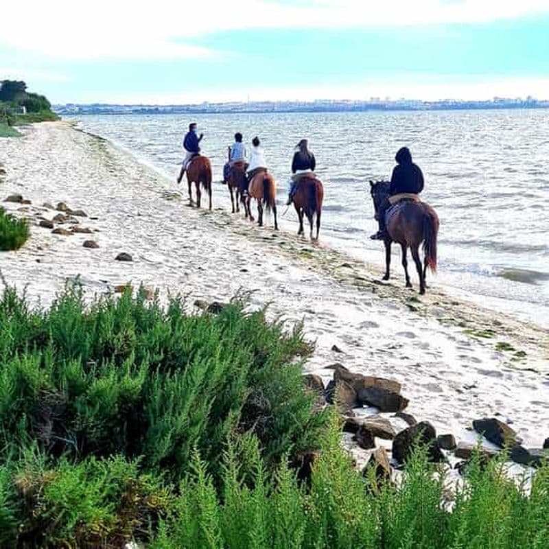 Randonnée à cheval sur la plage+2 nuits à Casas do Patio