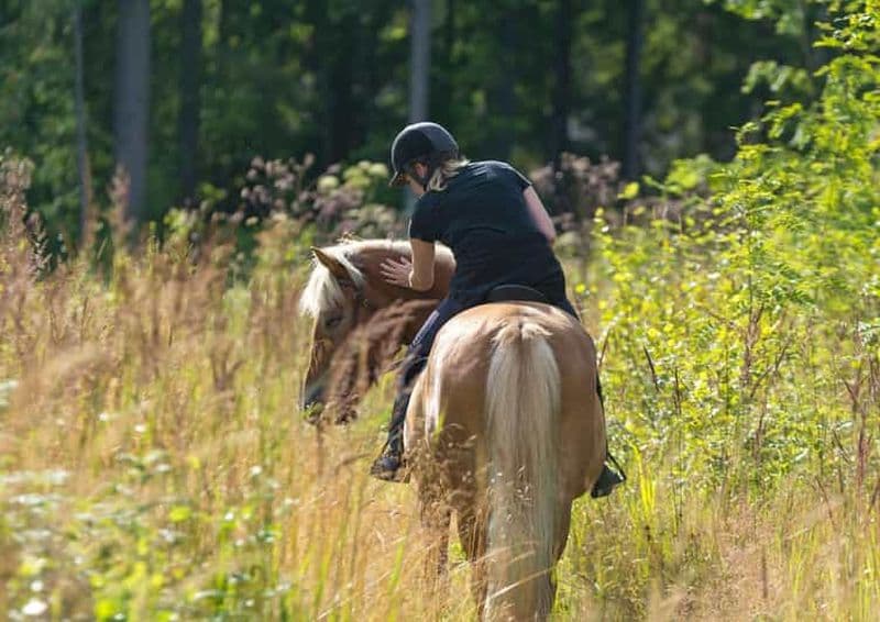 Cruseilles : Randonnée à cheval dans la campagne