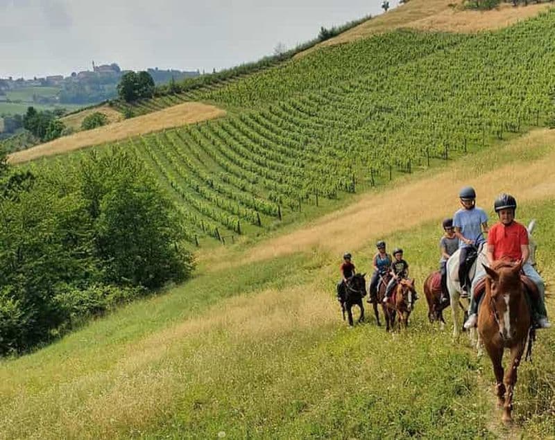 Langhe : balade à cheval dans les vignobles