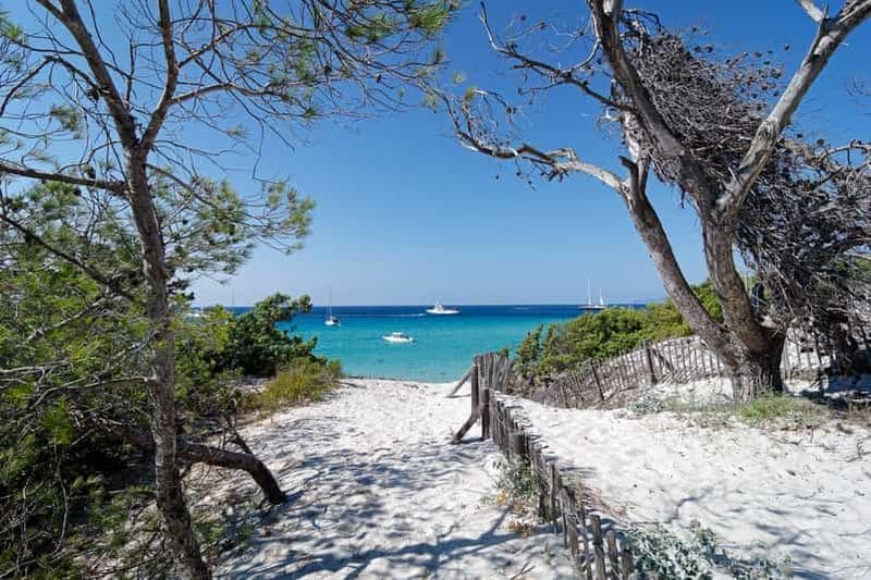 Au départ de Calvi : visite guidée en jeep de l'Agriate jusqu'à Lotu et Saleccia