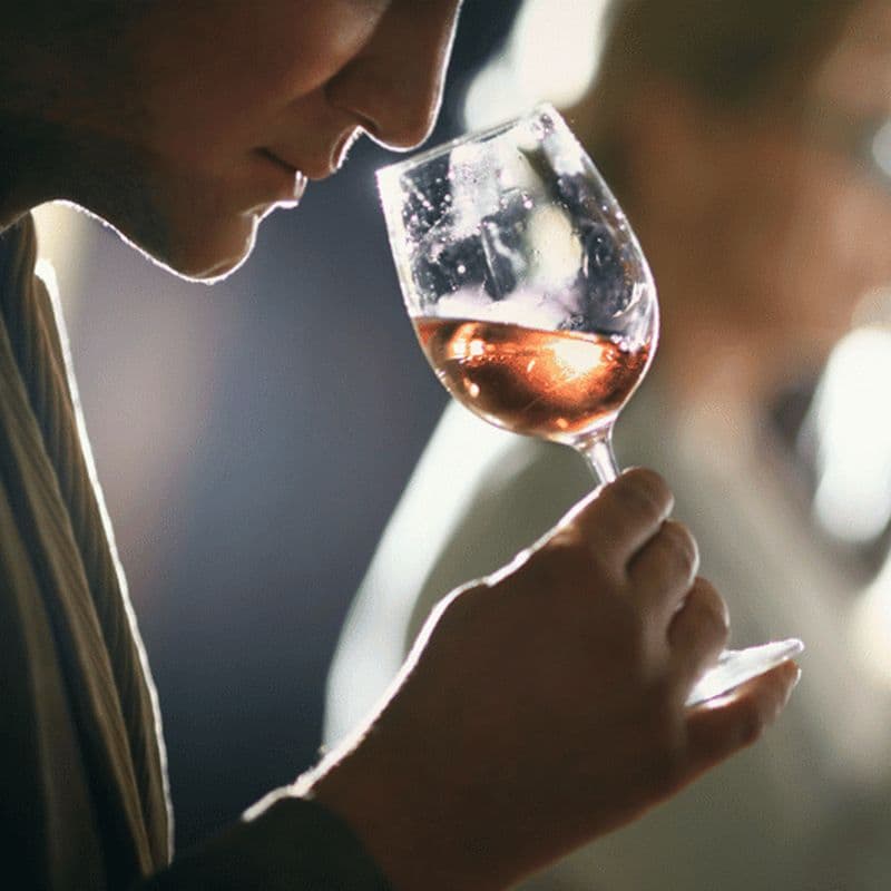 Nauplie : dégustation de vins avec un sommelier expert