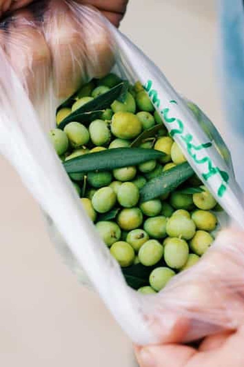 Casa Relvas, Vidigueira : visite du moulin à huile et accord huiles d'olive et vins