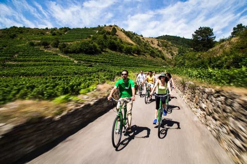 La vigne en pâture : Excursion à vélo dans les vignobles de la vallée de la Wachau
