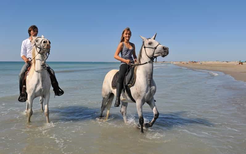 Bodrum : expérience d'équitation avec transfert depuis l'hôtel