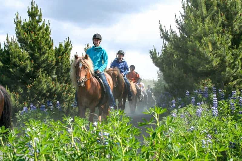 Depuis Reykjavík : Randonnée à cheval en Islande dans les champs de lave