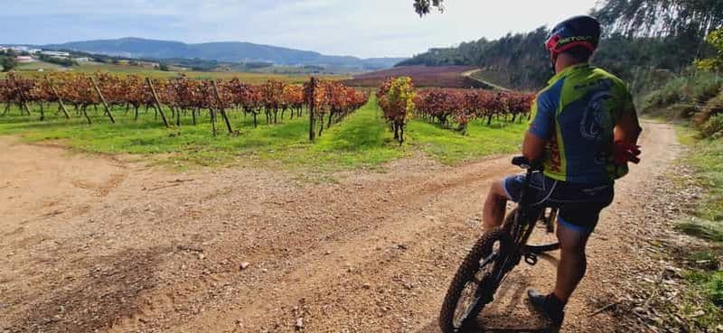 Óbidos : visite en vélo électrique à la Quinta do Gradil avec dégustation de vins
