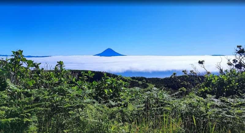 Aventure panoramique sur l'île de São Jorge - Circuit de 4 heures