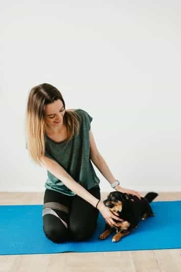 Yoga pour chiots à Riga