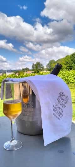 Guimarães : Dégustation de vin privée