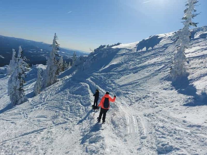 Mont Arber : Visite guidée en raquettes à neige dans la forêt bavaroise