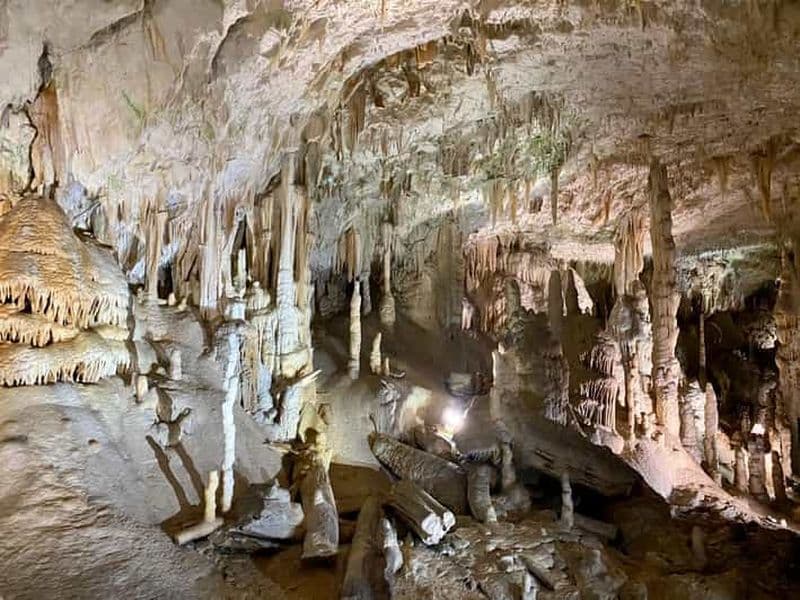 Depuis Ljubljana : Excursion d'une journée à la grotte de Postojna
