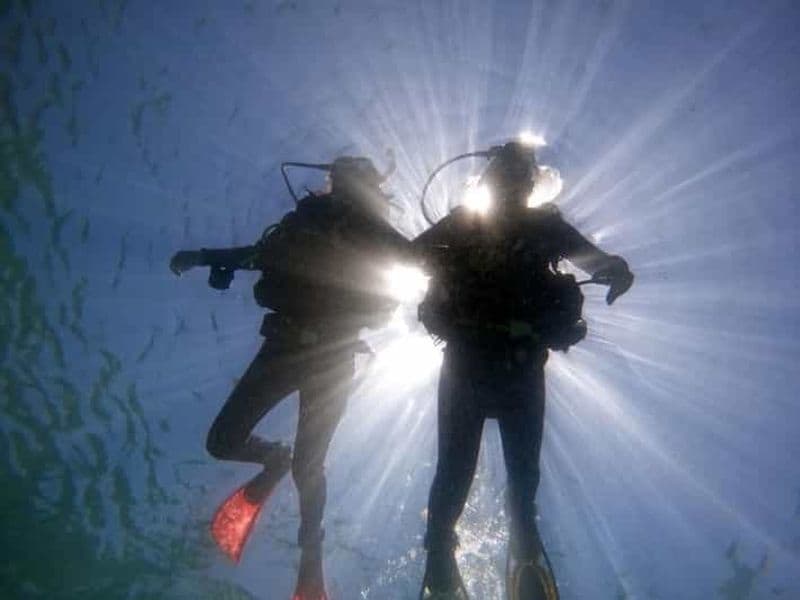 de Rio de Janeiro : Plongée à Buzios