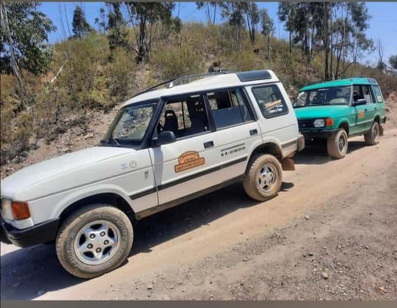 Algarve : Safari en 4x4 - des merveilles côtières aux trésors ruraux