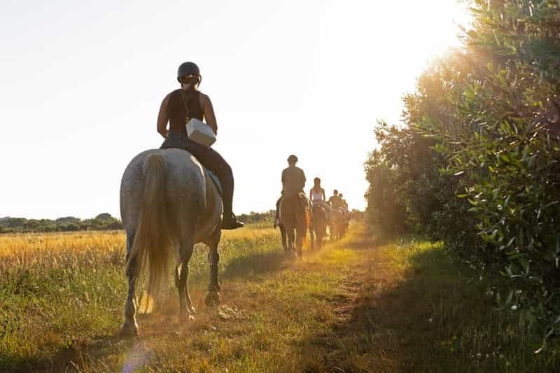 Fazana : Randonnée à cheval d'une heure dans la nature avec guide au coucher du soleil