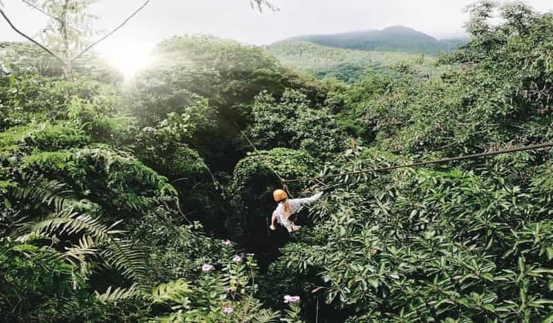 Île de Mahé : Excursion en tyrolienne et plongée en apnée dans le parc marin