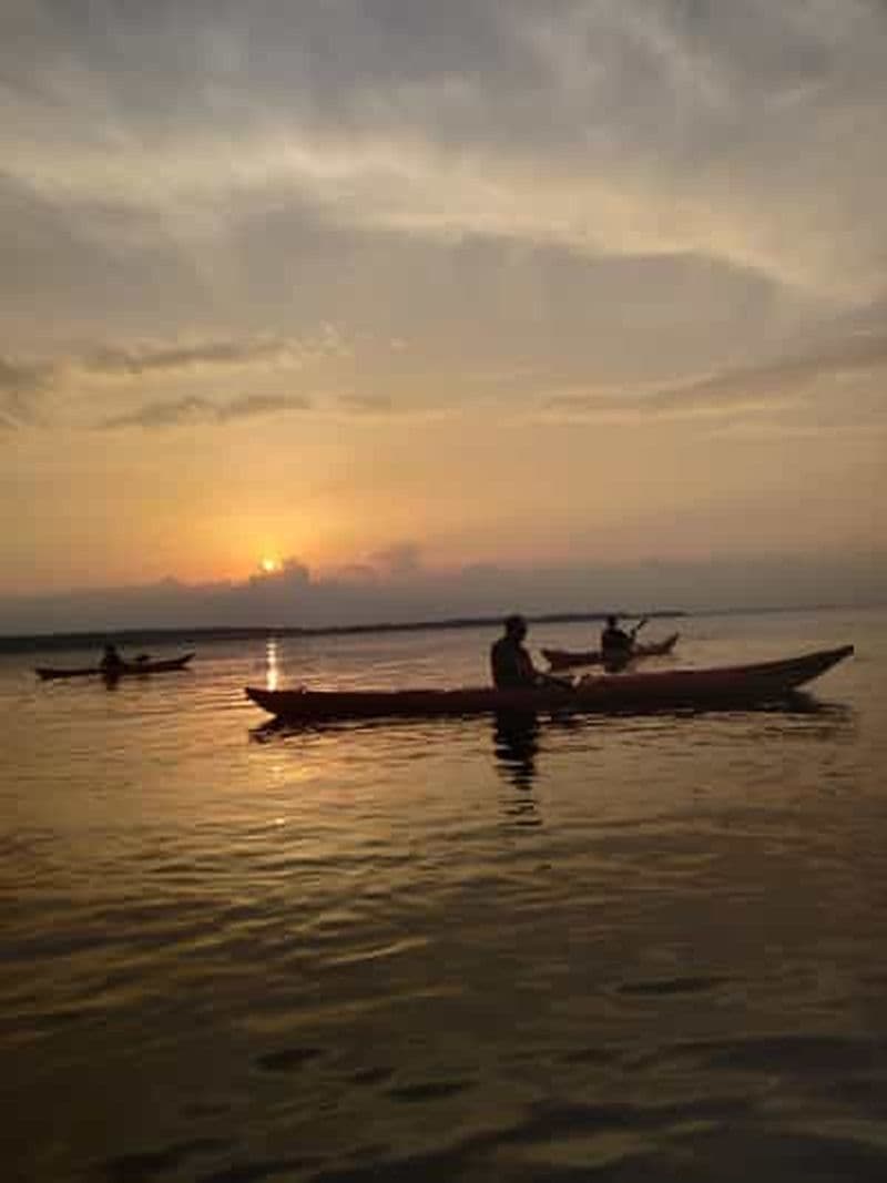 Kayak guidé sur le fjord de Roskilde : Excursion au coucher du soleil