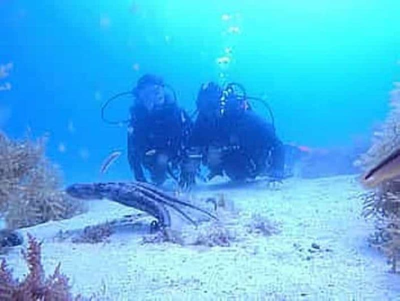 Porto : ma première plongée sous-marine dans l'océan