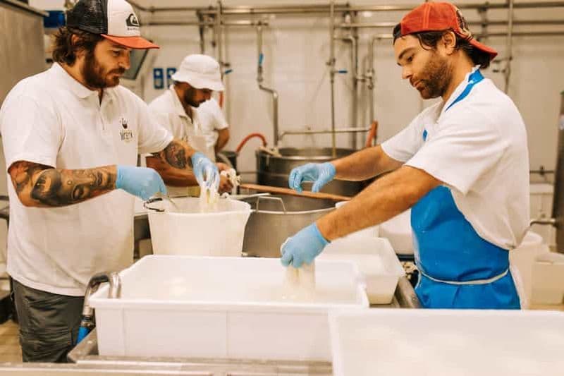 Depuis Matera : excursion de dégustation de fromages et de pâtisseries d'Altamura