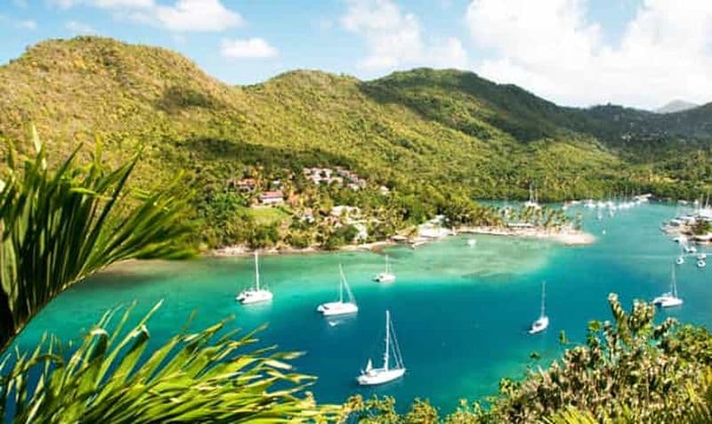 Sainte-Lucie : Forêt tropicale et observation des oiseaux