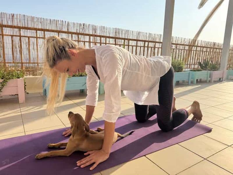 Billet Paphos (Peyia) : Yoga en pleine conscience avec des chiots de refuge