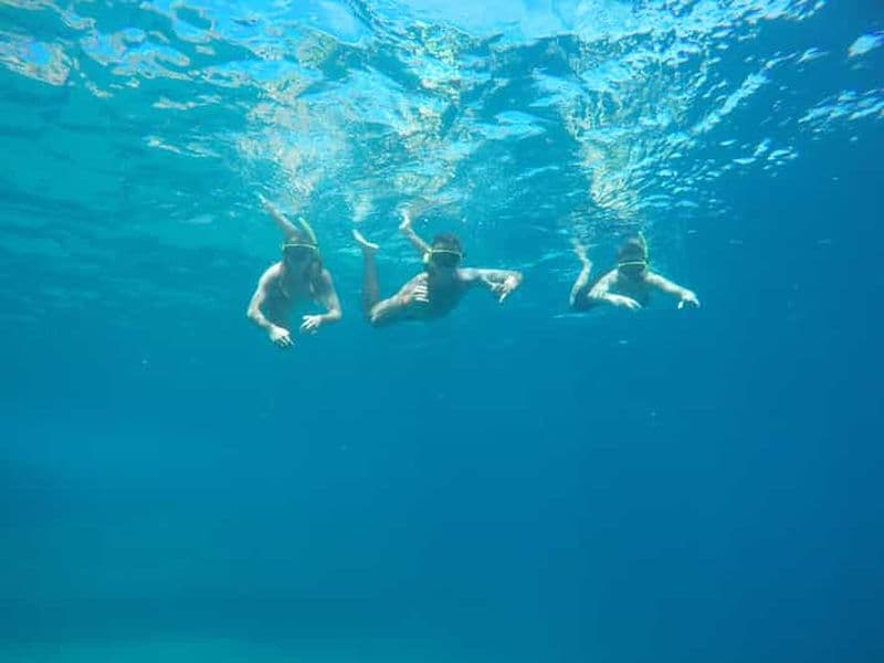 Rio : sortie en bateau, snorkeling et nage avec les tortues