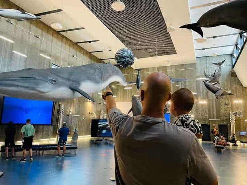 Caniçal : billet d'entrée au musée de la baleine de Madère