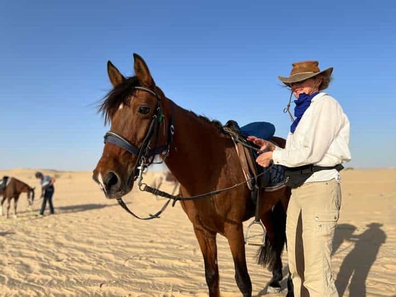 Découvrez l'authenticité de Tozeur à cheval avec transfert privé