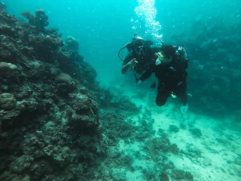 Jeddah : Plongée côtière en mer Rouge (Découverte)