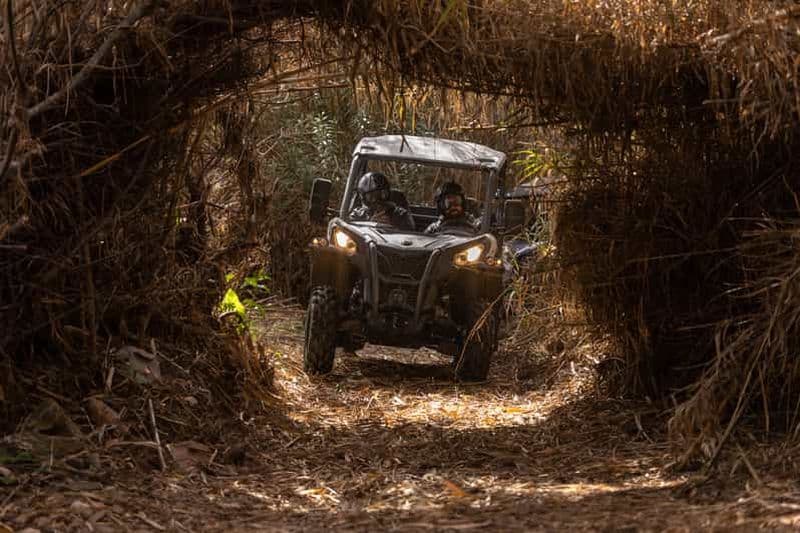 Almancil : Aventure guidée en buggy tout-terrain en Algarve