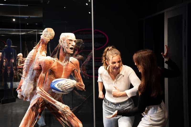 Body Worlds Amsterdam : Le billet du Happiness Project