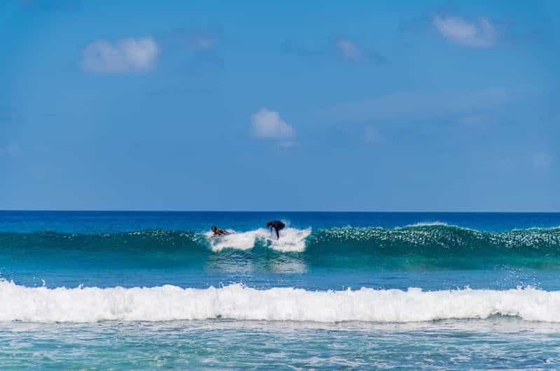"Le paradis du surf : Explorez les vagues des Maldives !"