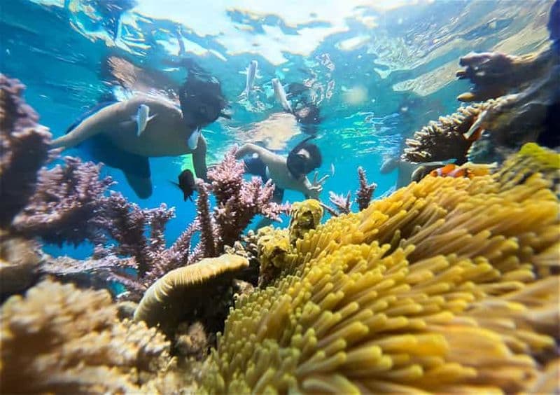 Nha Trang : demi-journée d'aventure en plongée avec barbecue à bord