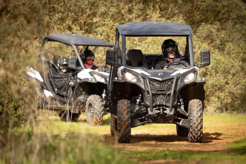 Depuis Porto : Aventure en buggy tout-terrain