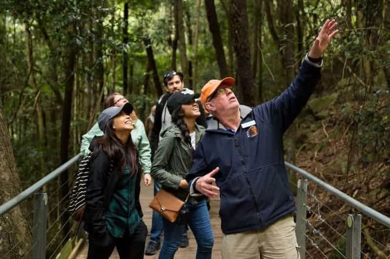 Billet Montagnes Bleues, Scenic World, faune et cascade (petit groupe)