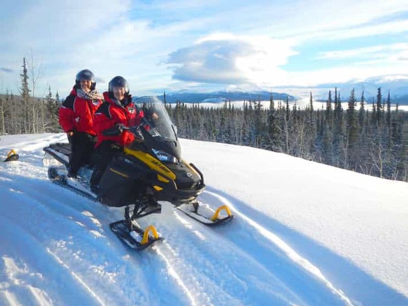 Billet Yukon : excursion d'une demi-journée en motoneige