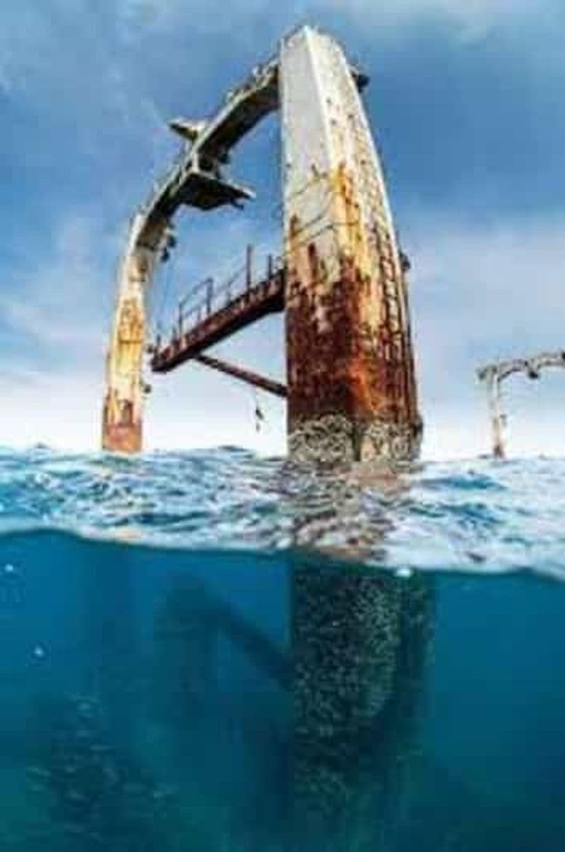 Safari en jet ski sur l'épave