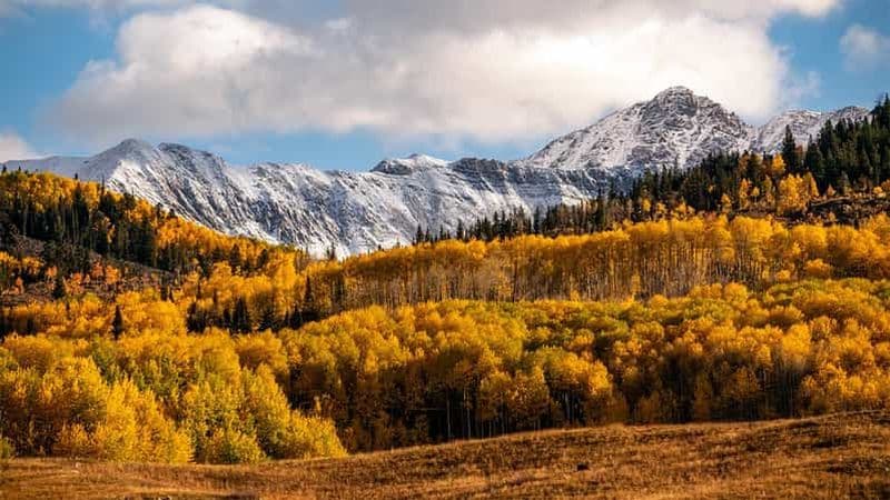 Atelier de photographie des couleurs d'automne dans le Colorado