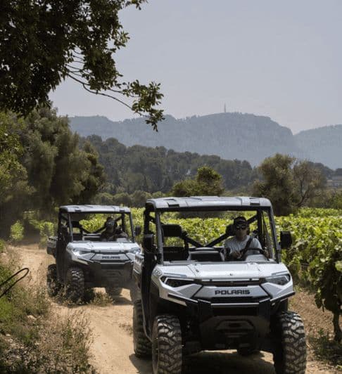 Cassis : découverte des domaines AOC Cassis en buggy électrique