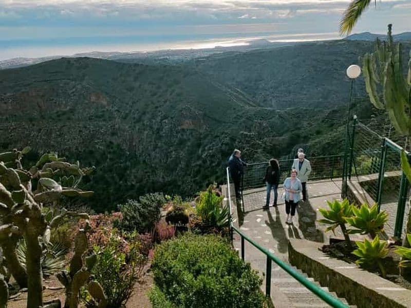 Depuis Las Palmas : Demi-journée Volcano Bandama et vignoble