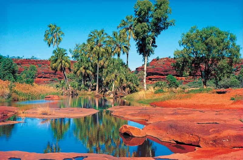 Billet Depuis Alice Springs : Palm Valley 4WD Outback Safari + Picnic