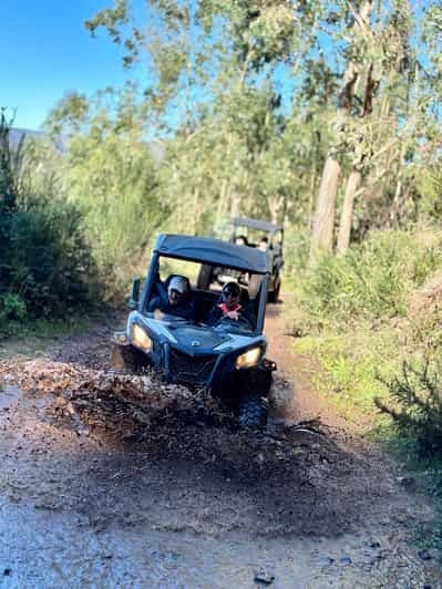 Madère : Excursion d'une demi-journée en buggy tout-terrain